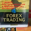 Jeff Fitzpatrick - Forex Trading (Enjoy BONUS John White Tutorials – Advanced Hedging)